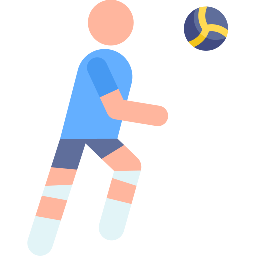 volleybal Pictograms Colour icoon