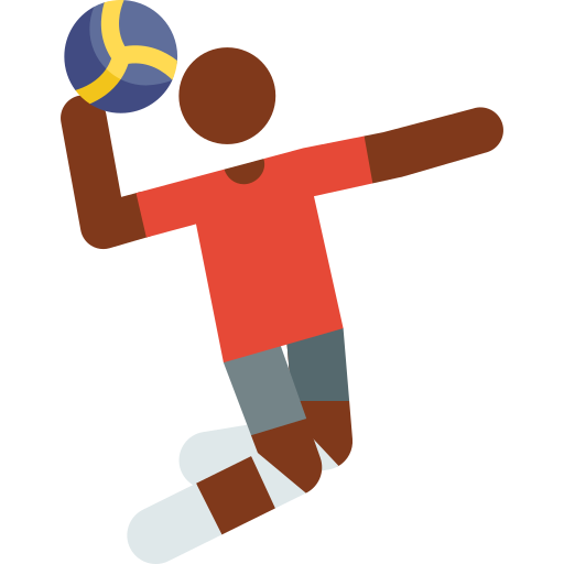 volleybal Pictograms Colour icoon