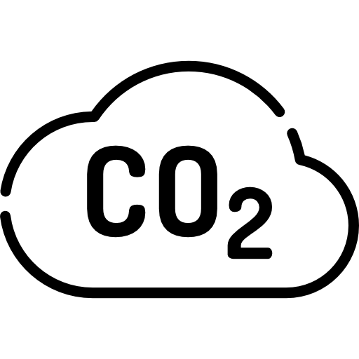 co2 Special Lineal Icône