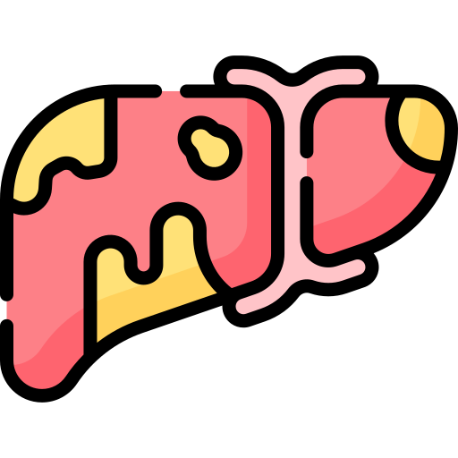 Liver Special Lineal color icon