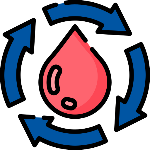 피 Special Lineal color icon