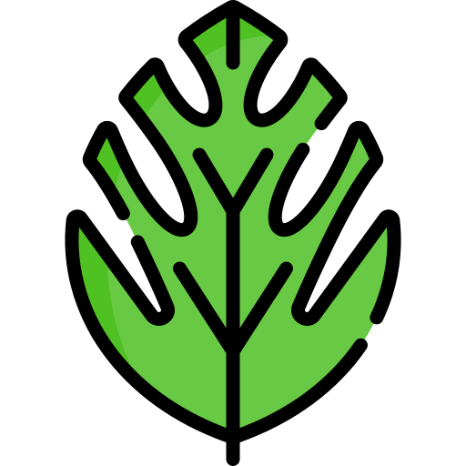 Monstera Special Lineal color icon