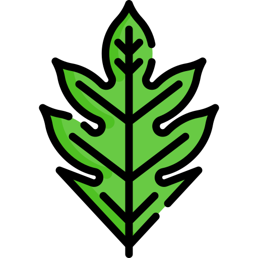 artocarpus altilis Special Lineal color icon