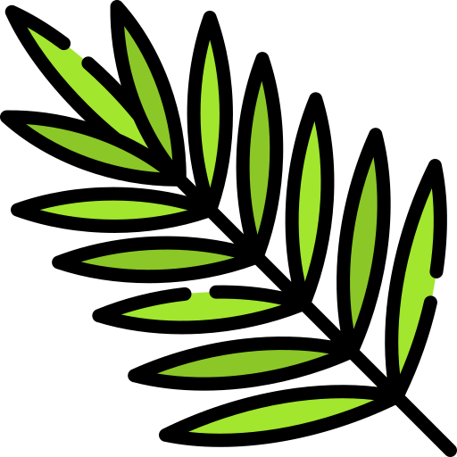 palma areca Special Lineal color icona