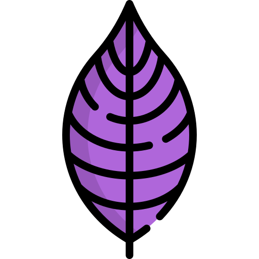 Persian shield Special Lineal color icon