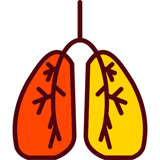 polmoni Generic Outline Color icona