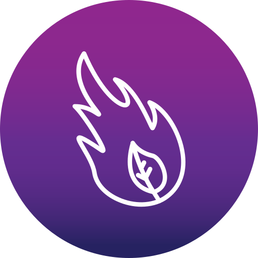Wildfire Generic Flat Gradient icon