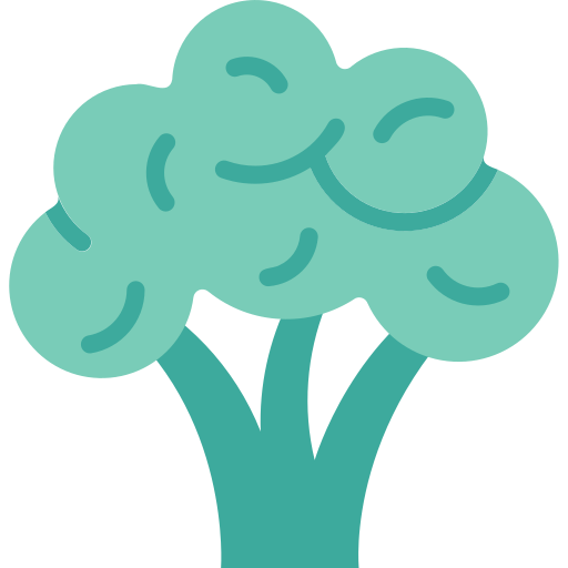 Broccoli Generic Flat icon