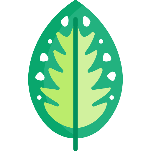 Dieffenbachia Special Flat icon