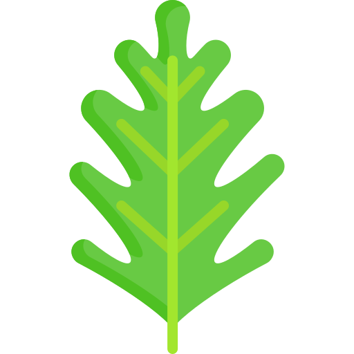 Philodendron xanadu Special Flat icon