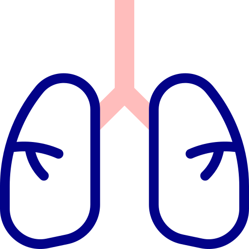 pulmões Detailed Mixed Lineal color Ícone