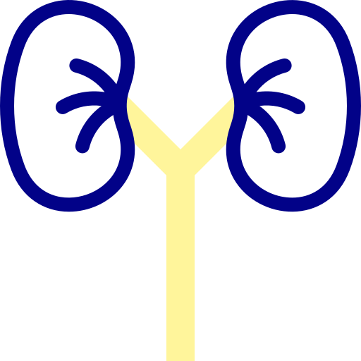 Kidney Detailed Mixed Lineal color icon