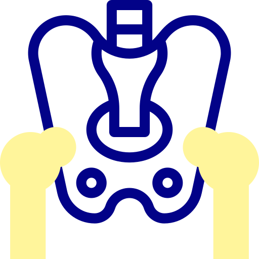 Pelvis Detailed Mixed Lineal color icon