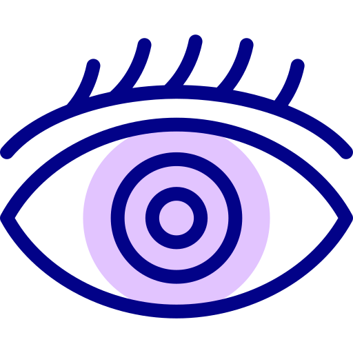 ojo Detailed Mixed Lineal color icono