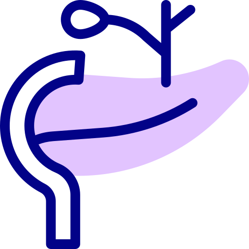 Pancreas Detailed Mixed Lineal color icon
