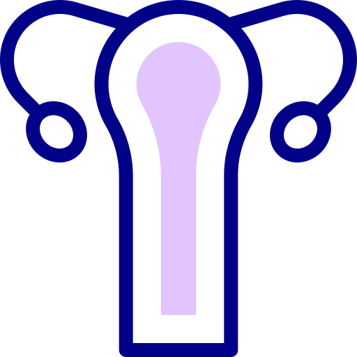 Uterus Detailed Mixed Lineal color icon