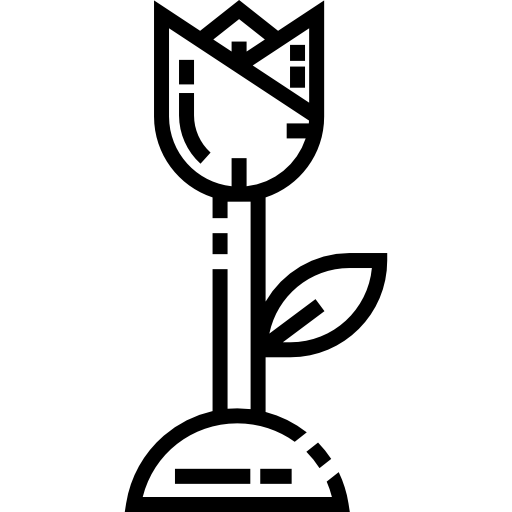 꽃 Detailed Straight Lineal icon