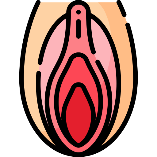 vagina Special Lineal color icono