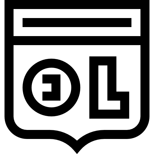 Olympique lyonnais Basic Straight Lineal icon