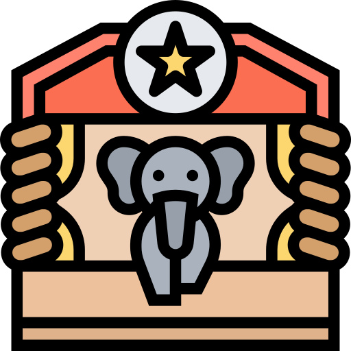 Circus Meticulous Lineal Color icon