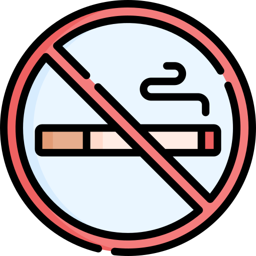 no fumar Special Lineal color icono