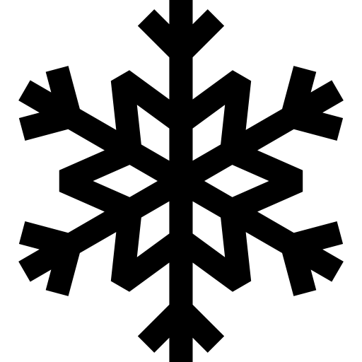 Winter Snow Flake  icon