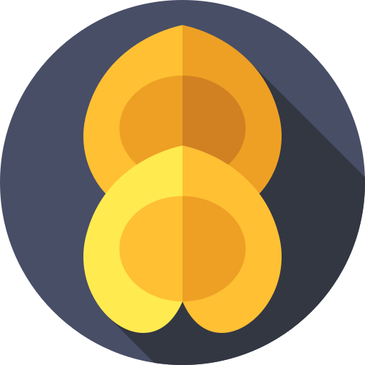ペリメニ Flat Circular Flat icon