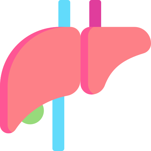 Liver Special Flat icon