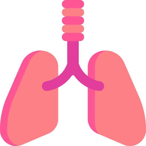 pulmones Special Flat icono