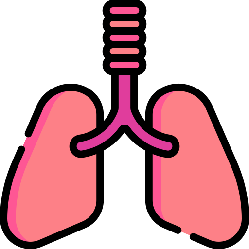 płuca Special Lineal color ikona