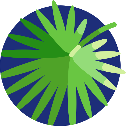 fächerpalme Detailed Flat Circular Flat icon