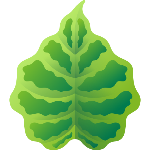Tropical leaves 3D Color icon