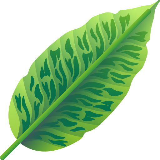 feuilles tropicales 3D Color Icône