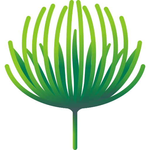 熱帯の葉 3D Color icon