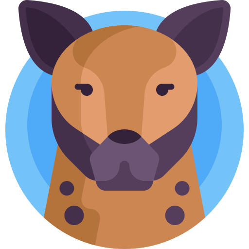 hiena Detailed Flat Circular Flat icono