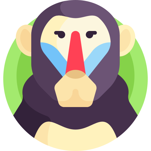 babuino Detailed Flat Circular Flat icono