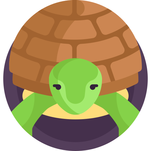 żółw Detailed Flat Circular Flat ikona