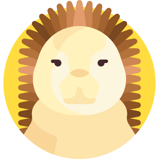 Hedgehog Detailed Flat Circular Flat icon