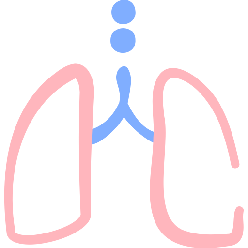Lungs Basic Hand Drawn Color icon