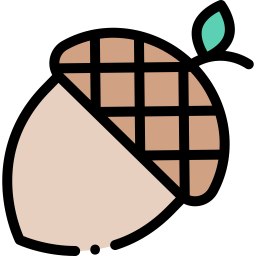 Acorn Detailed Rounded Lineal color icon