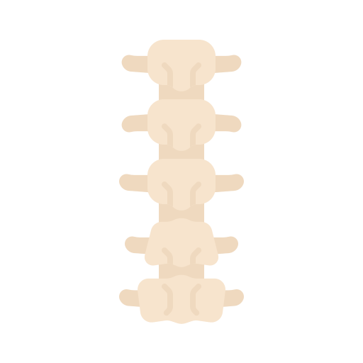 szkielet Generic Flat ikona