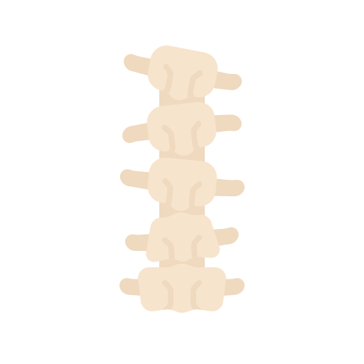 脊椎 Generic Flat icon