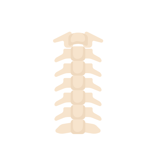 Spine Generic Flat icon
