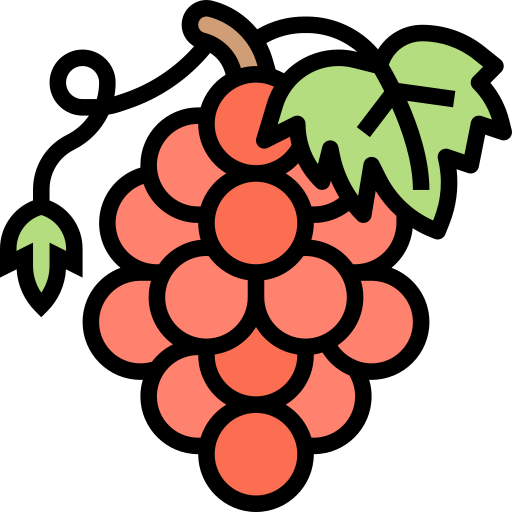 Grapes Meticulous Lineal Color icon