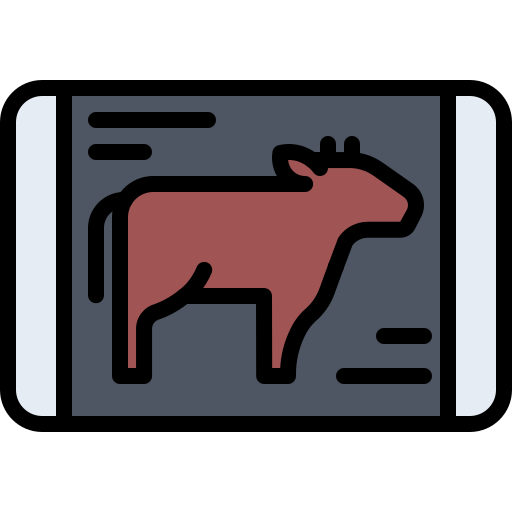 Beef Coloring Color icon