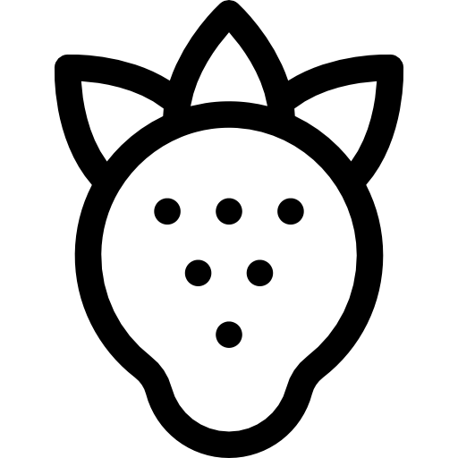 fragola Basic Rounded Lineal icona