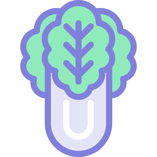Cabbage Detailed color Lineal color icon