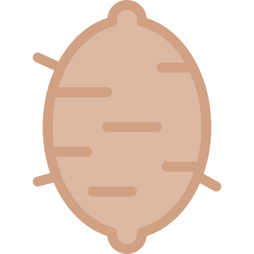 słodki ziemniak Detailed color Lineal color ikona