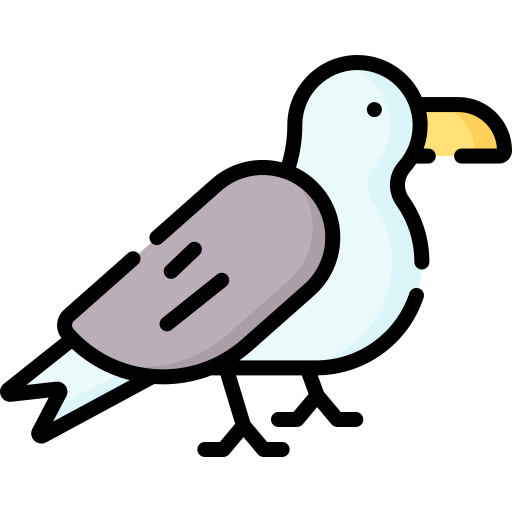 gaviota Special Lineal color icono