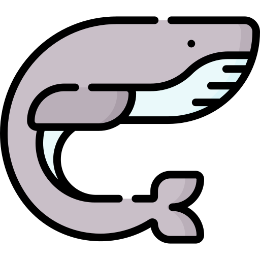 고래 Special Lineal color icon
